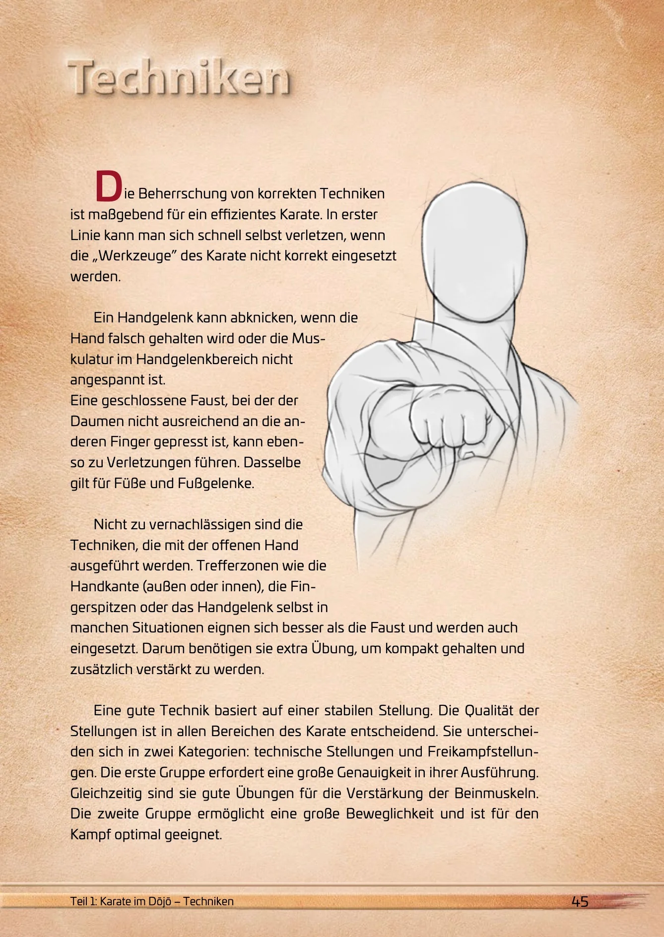 Die Karate-Essenz – Buch für alle Karateka – Bild 2